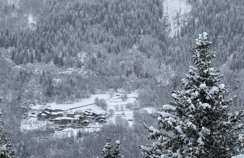 Panorama Marilleva 1400 - Val di Sole - Foto 70