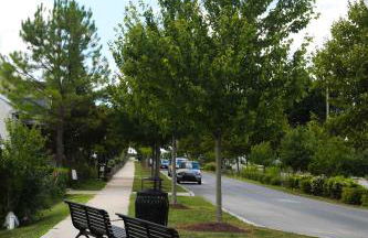 1939 Four Bed Rustic Escape by Casino - Foto 19