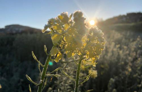 Ferienwohnung Mintbraun - Foto 47