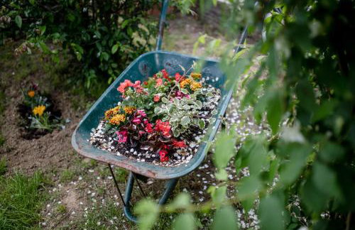 Apartmani Ana & Milo - Foto 10