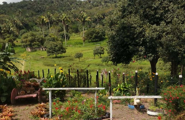 Excursión a Chã Preta y Serra Lisa - Foto 4