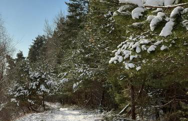 APARTAMENT CENTRUM - Foto 70