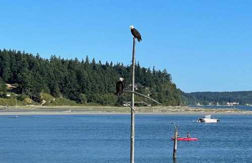 Sunlight Beach Shoreline - Foto 43