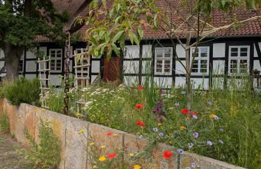 Alte Dorfschule, FeWo mit Mittelalter Zimmer - Foto 23