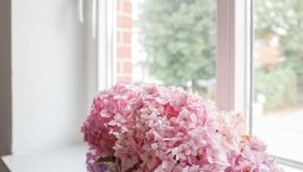 Wohnen am Park - Foto 3