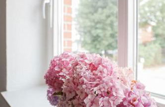 Wohnen am Park - Foto 3