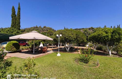 Elisabeth Villas - Foto 13