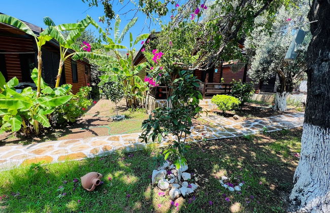 Ovabuku Ahsap Evler - Foto 36