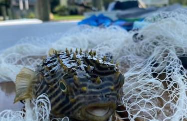 Relax,Fish,Grill,Chill! Pup,Kid Friendly Riverfront Paradise! Amenities,Gameroom - Foto 38