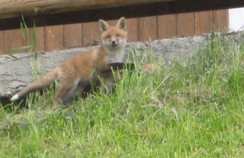 bruno piller hoffer - Photo 15