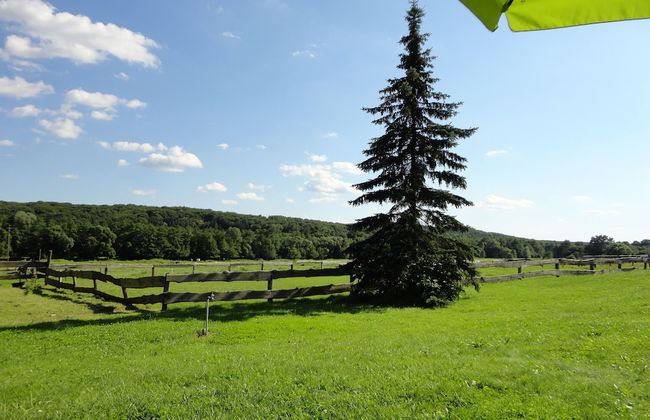 Kerca Bio Farm - Photo 74