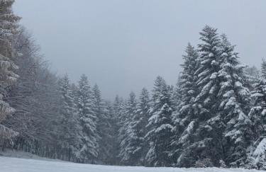 Forest house - Foto 8