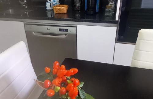 Vista para a serra - Foto 12