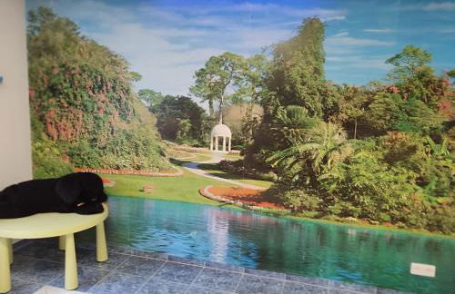 Idyllische Ferienwohnung - Foto 5