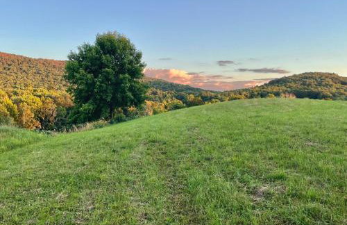 The Meadow at Cobbler Hill Farm - Foto 2