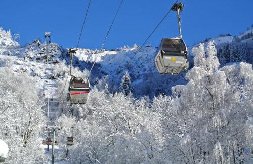 Vénosc-Les 2 Alpes , Rez de jardin - Photo 12