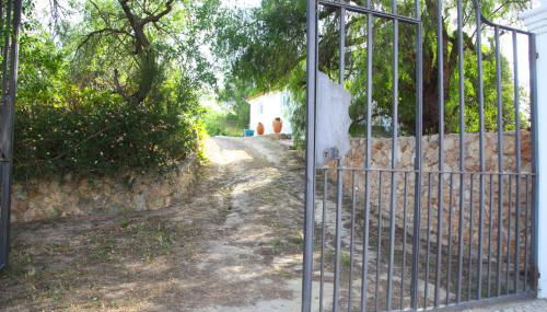 Quinta Teresinha - Foto 4