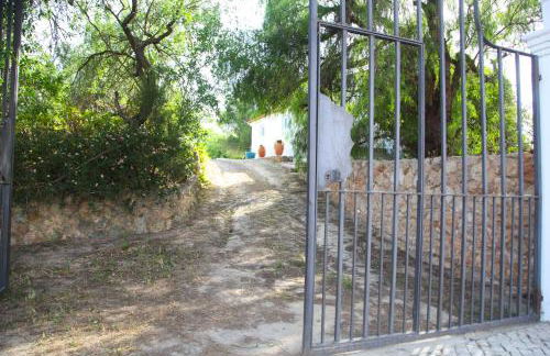 Quinta Teresinha - Foto 4