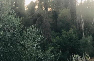 Terpsichore Boutique Appartments - Foto 63