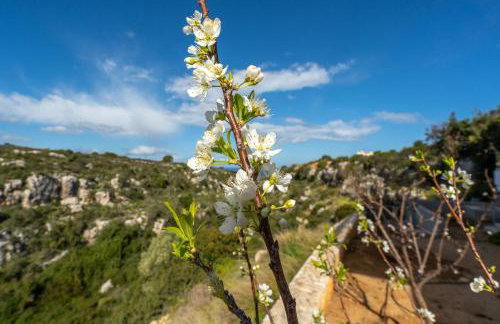 Le Mont Blanc - with shared Pool - Foto 55