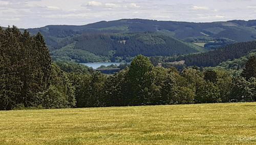 Ferienhaus Maag, 102qm - Foto 4