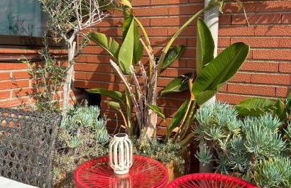 Casa Cosi - Industria - Photo 3