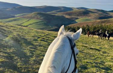 Stewards Bothy - Foto 44