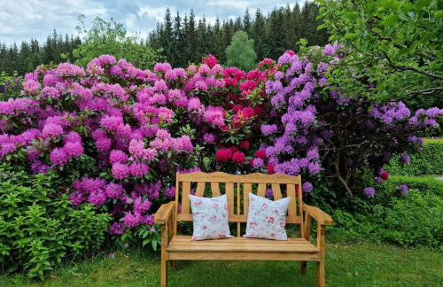 Haus Kuchler - Foto 24