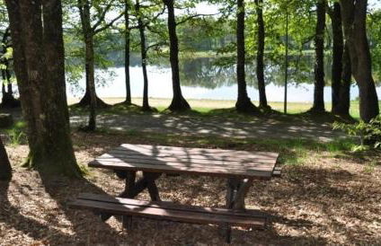 Chalet 3 étoiles - Piscine - ccaffag - Photo 47