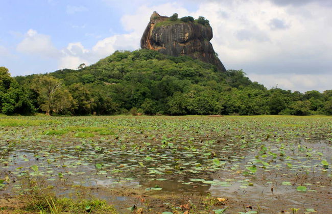 Excursion privée à Sigiriya et Dambulla - Photo 6