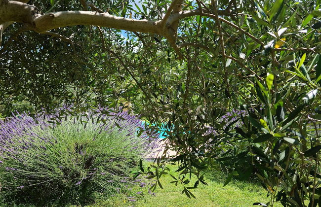 Sale! Beautiful 2-bed Apartment With Pool Access - Photo 33