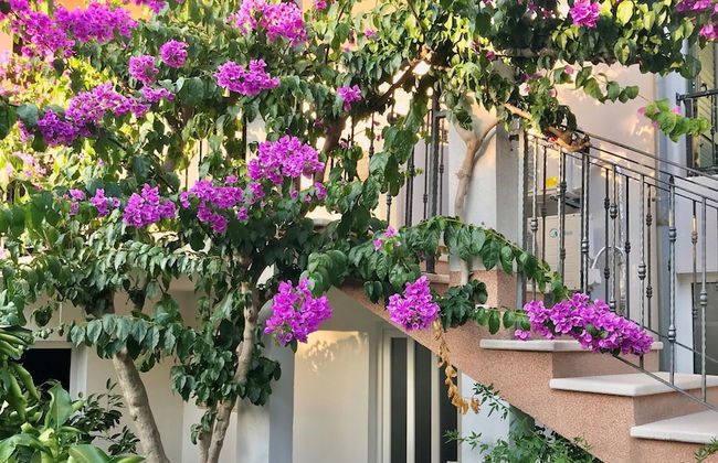 Apartments Ruzica - Foto 62