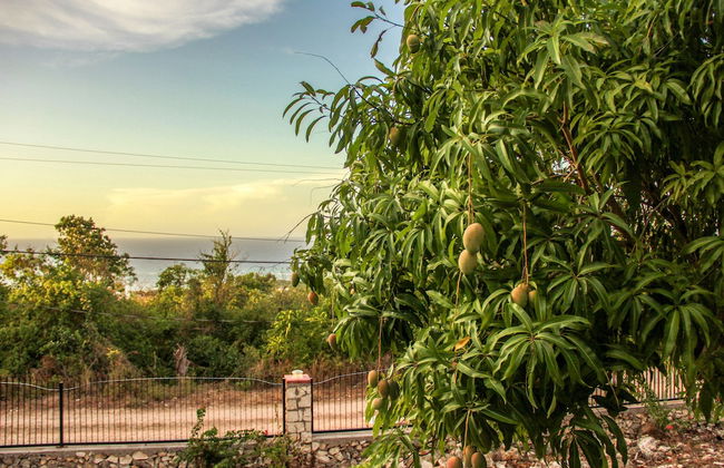 Sunshine Lodge- Your Home Away From Home - Foto 36