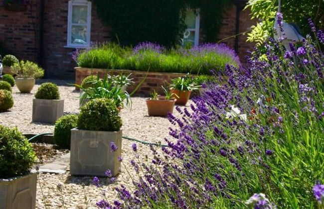 Luxury Accom With Pool Henbury Macclesfield - Photo 32