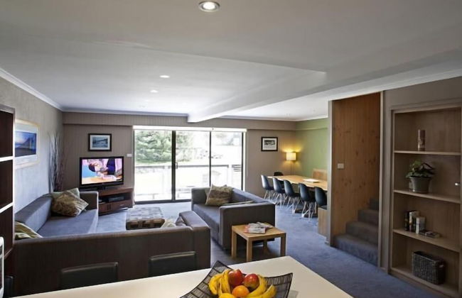 Altitude Apartments - Photo 16