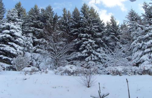 Wohnung bei Willingen für Wintersport - Foto 21