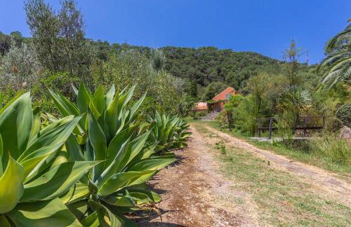Casa Pájaro Colores in Bolonia - Foto 76