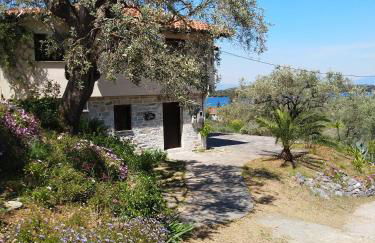 '' I FOLIA '' / ' 'LE NID '' - Foto 7