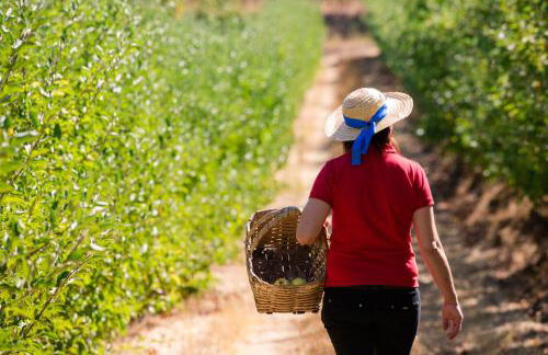 Quinta da Barroca Douro Valley - Foto 44