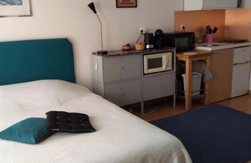 STUDIO au sud de Lyon à Oullins - Foto 3