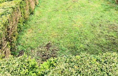 Lodge Pizzo Alpestre - Foto 27