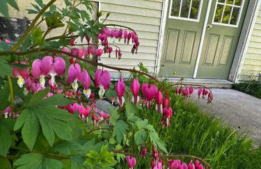 Private 5-Acre Escape - Pool, Lake & Gardens - Foto 54