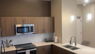 FIFA World Cup Deals!! Modern 1 BR and Sleeper Sofa in Heart of Midtown Kansas City! - Foto 3