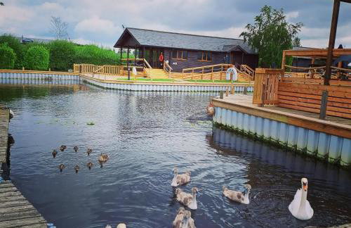 River Bay - Norfolk Broads - Foto 19