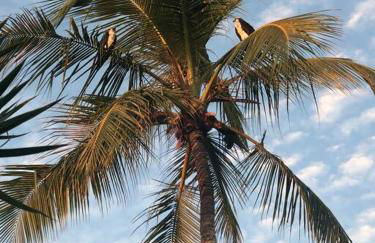 Panoramic Waterfront View - Foto 13