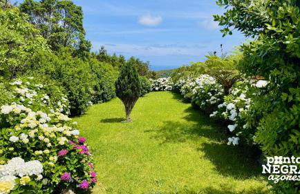 Casa da Serreta by PontaNegraAzores - Photo 33