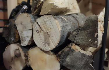 Dzika Polana - Foto 55