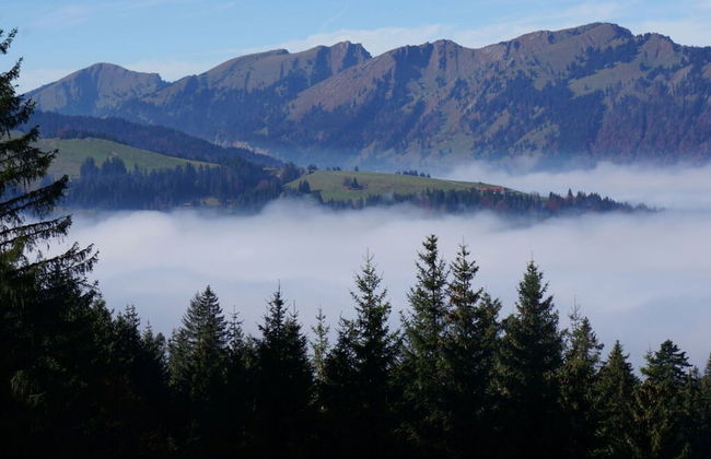 Bader Modern Retreat - Foto 11