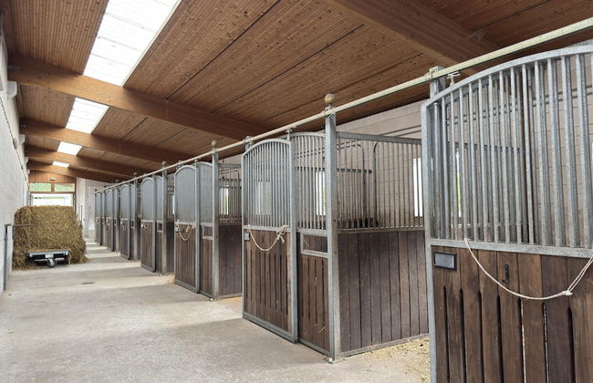 Holiday Home on a Horse Farm in Heath - Foto 20