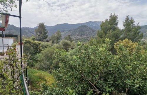 En lugar tranquilo alejado de zonas turisticas - Foto 41